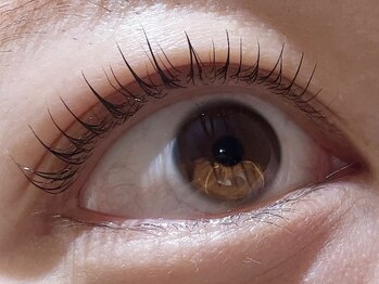 カラン 焼津店(CALIN)/シンプリフィ