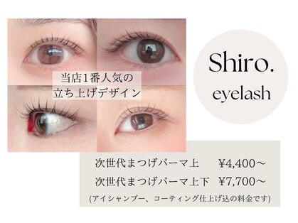 シロアイラッシュ(shiro.eyelash)の写真
