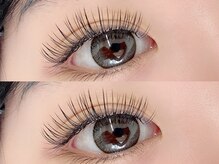 トムテ(tomte)/ダブルフラットラッシュ