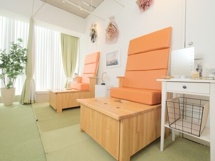 ツバキ(TUBAKI)の写真