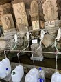 一呼休 穴の谷の霊水を汲みに行って、味噌づくりや味噌汁作り使用