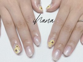 SEASONALベーシック＊