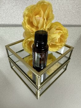 ココロ(COCORO)/森の音 デュフューザ