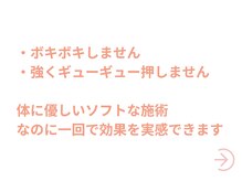 ダリア 甲府昭和(Dahlia)/