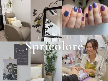 スプリコローレ(Spricolore)の写真