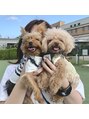リンベル 岡崎店(LINBELLE)&nbsp;私の癒し担当の愛犬たち♪2匹とも保護犬です♪
