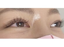 シャトン(chaton)/フラットラッシュ120本