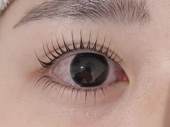 ビュー バイ ネオリーブ 用賀店(beau'r by neolive)/上下ラッシュリフト