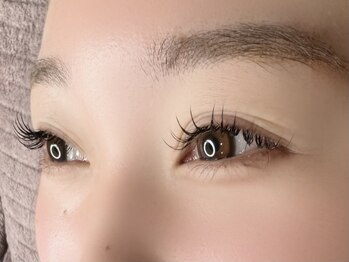 ミヨン(Miyon)/フラットマットラッシュ140本