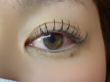 フリー#240(Free#240)/フラットラッシュ120本