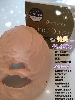 シャンティ(Shanti)/石膏パック