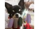 マギーサロンの写真