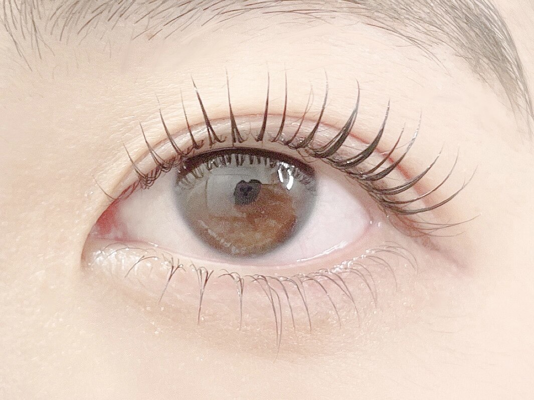 【パリジェンヌorラッシュリフト上】\7300コーティング付