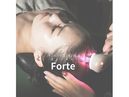 フォルテ(Forte)の写真