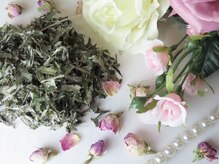ローズブランシュ(Rose Blanche)