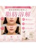【韓国発】脂肪分解 レモンボトル全顔 通常¥22,000