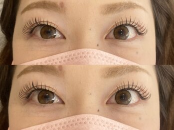 エルドット 八尾店(L.)/フラットラッシュ150本