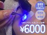 【低刺激×高持続】LED＋フラットラッシュ120本￥6000