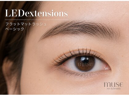 ミューズ(MUSE)の写真