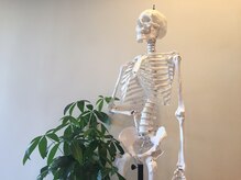 整体処みなもと/パートナーの骸骨さんその1