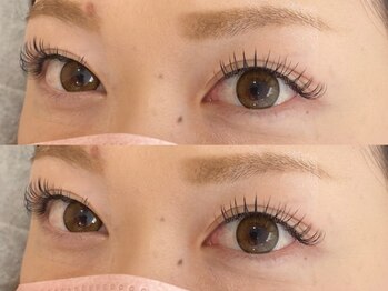 エルドット 八尾店(L.)/フラットラッシュ120本