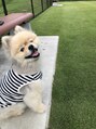 ヴィノ アイサロン(VINNO eyesalon) 愛犬のらくくんです♪