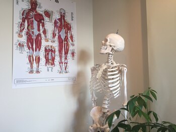 整体処みなもと/パートナーの骸骨さんその2