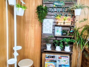 パワースポット(Power Spot)/店内風景