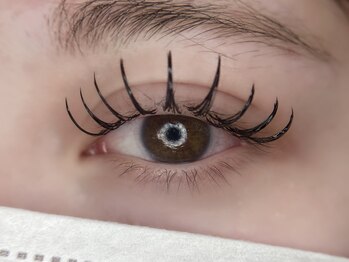 アイラッシュルネ メルシーネイル(eyelash LUNE/merci nail)/ダブルフラットラッシュ100束