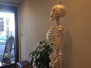 整体処みなもと/パートナーの骸骨さん その3