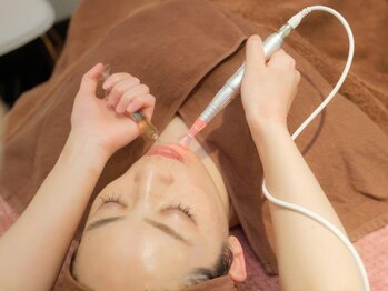 エステテックサロンラレーヌ 小山店(La Reine)/お悩み別に美容液を選び導入