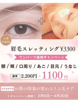 アイラッシュ リップル(Eyelash ripplu)/今月キャンペーン