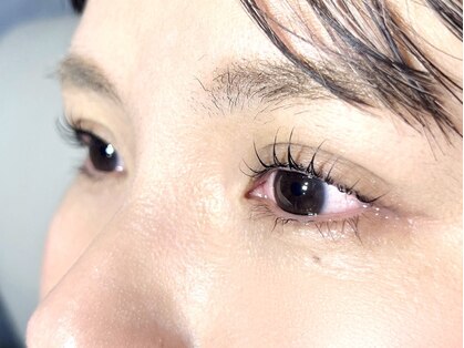 エレナ(ELLENA)の写真