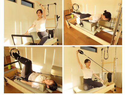 ヨモギ(YOMOGI)の写真