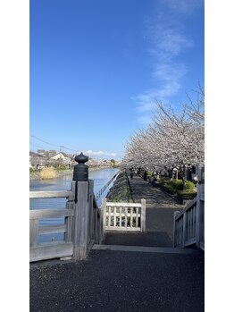 凪サロン(凪SALON)/周りはこんな風景も