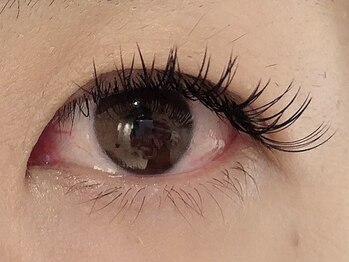 カラン 焼津店(CALIN)/フラットラッシュ 140本