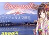 《Jrネイリスト★モデル募集》ワンカラー（500色～♪）　￥2,500