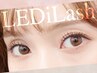 〔初回〕LEDマツエク(セーブル)+専用アイシャンプー込150本 ￥8,000