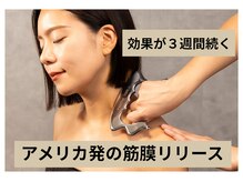 ホークシャイン(HAWK SHINE)