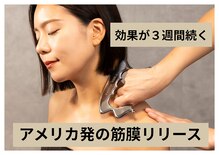 ホークシャイン(HAWK SHINE)