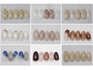 【ネイル】プチ定額9