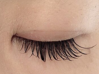 カラン 焼津店(CALIN)/フラットラッシュ 140本