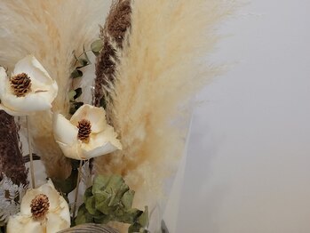 ステッリーナ(stellina)