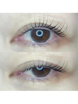 ケイラッシュ(K-LASH)/