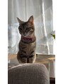 ビューティーサロン ココ 西尾店(COCO) 実家でネコちゃんを飼っています♪