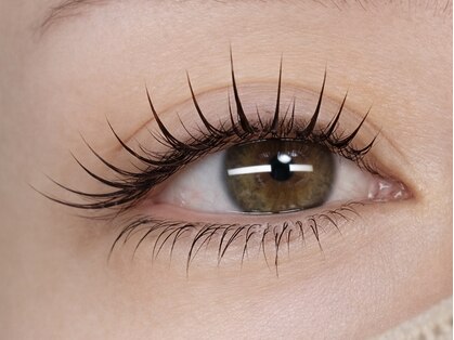 ポメリー(pommery)の写真