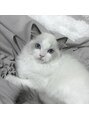 シェリー 仙台店(Cherie) 一緒に暮らしてます♪