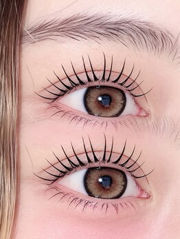 アイラッシュ ロア(eyelash Roa)/立ち上げ×カール