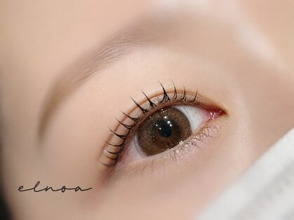 エルノアアイ(elnoa eye)の写真