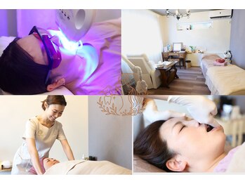 コトリト(Cotorito)